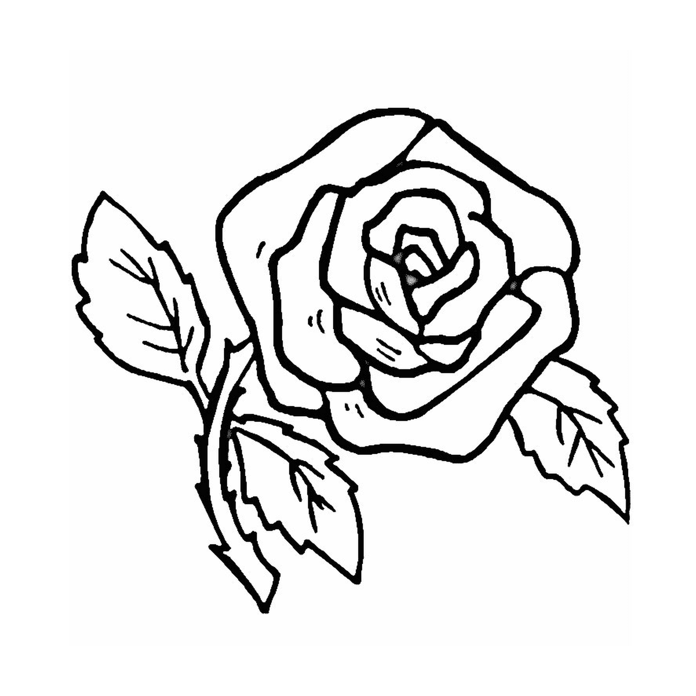  Una rosa sencilla y fácil 