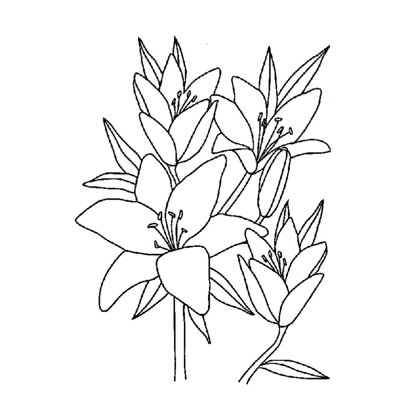  Una flor de vainilla 