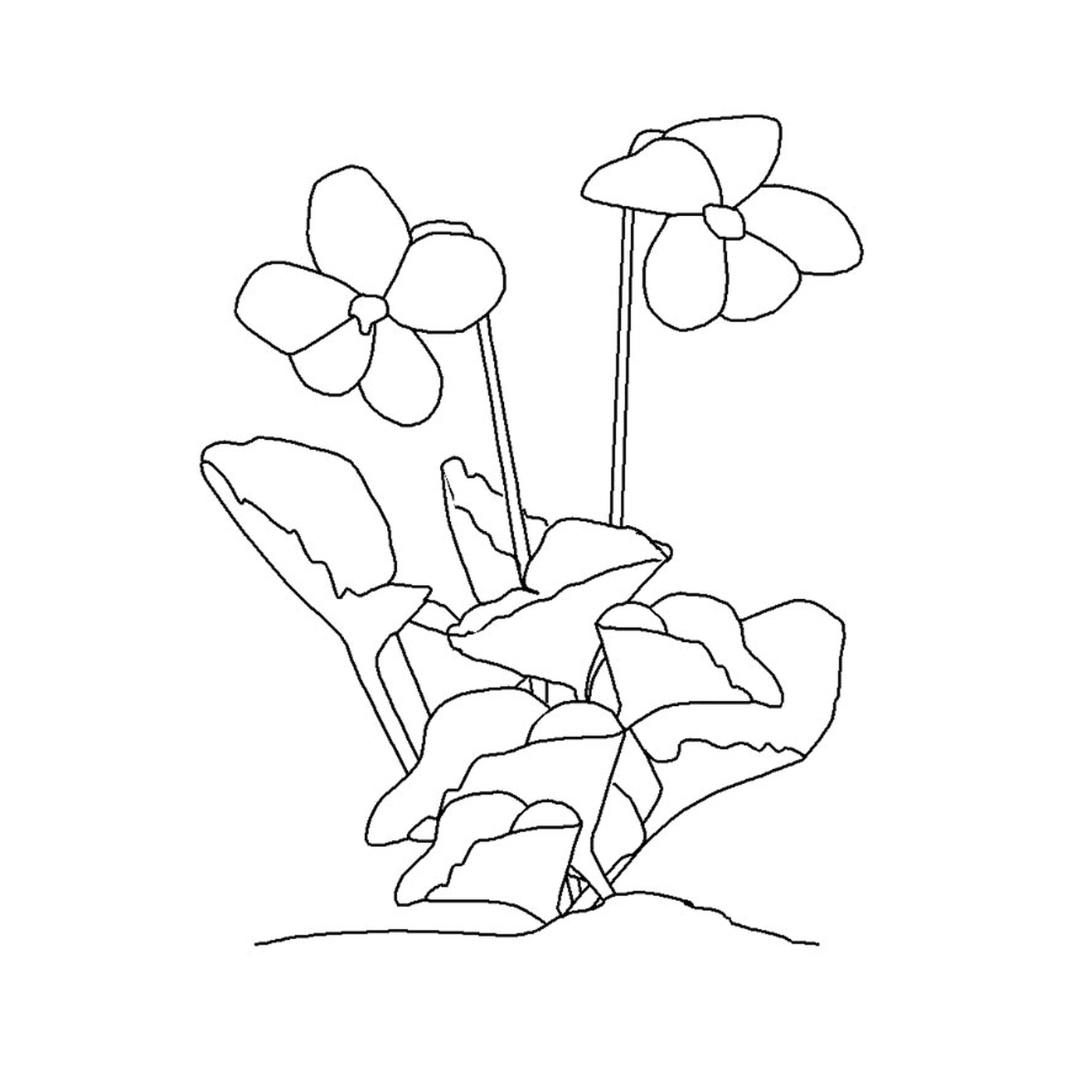  Eine lila Blume auf einer Linie mit Blumen 