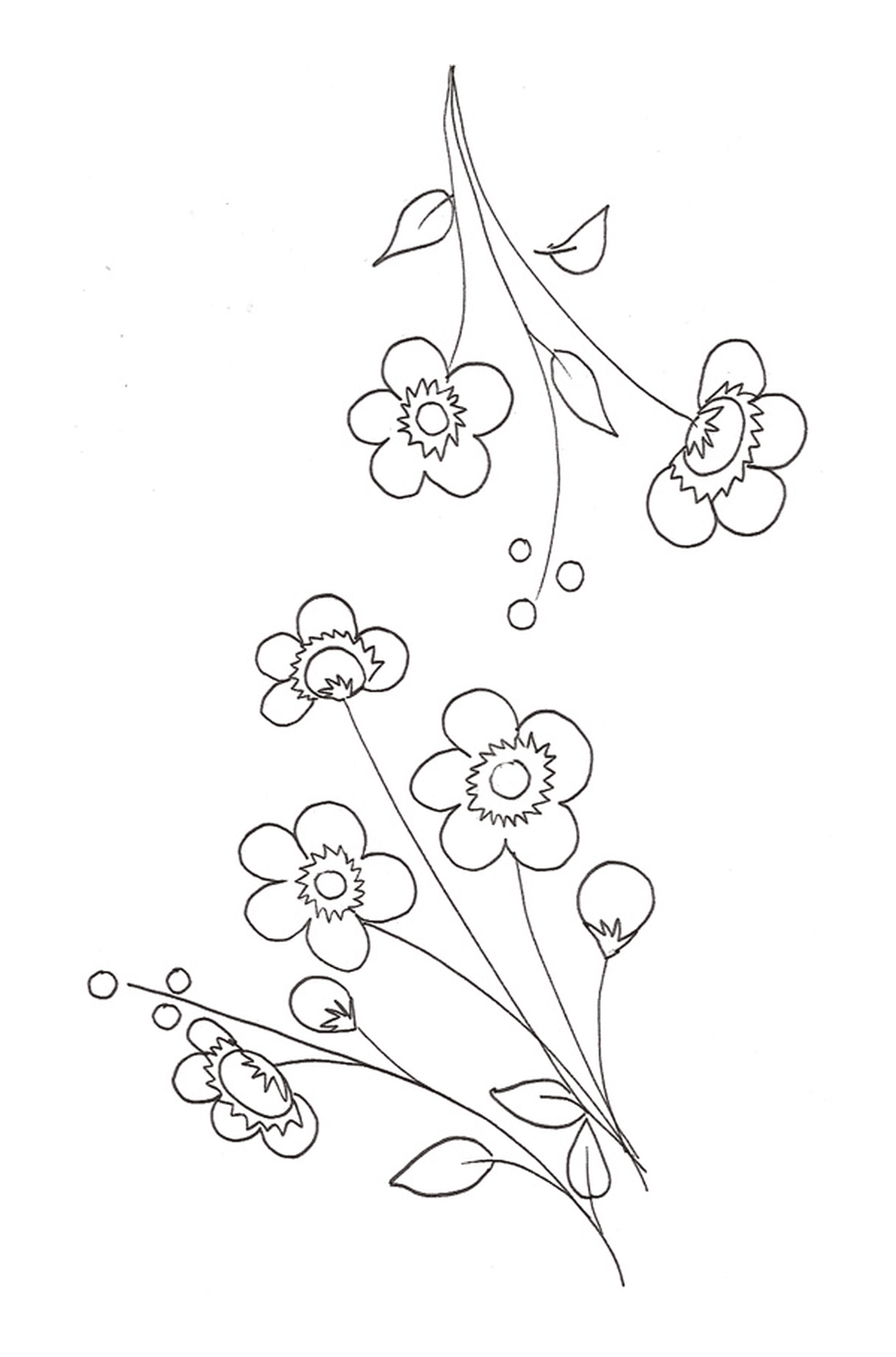  Вишнёвый цветок на линии с группой цветов 