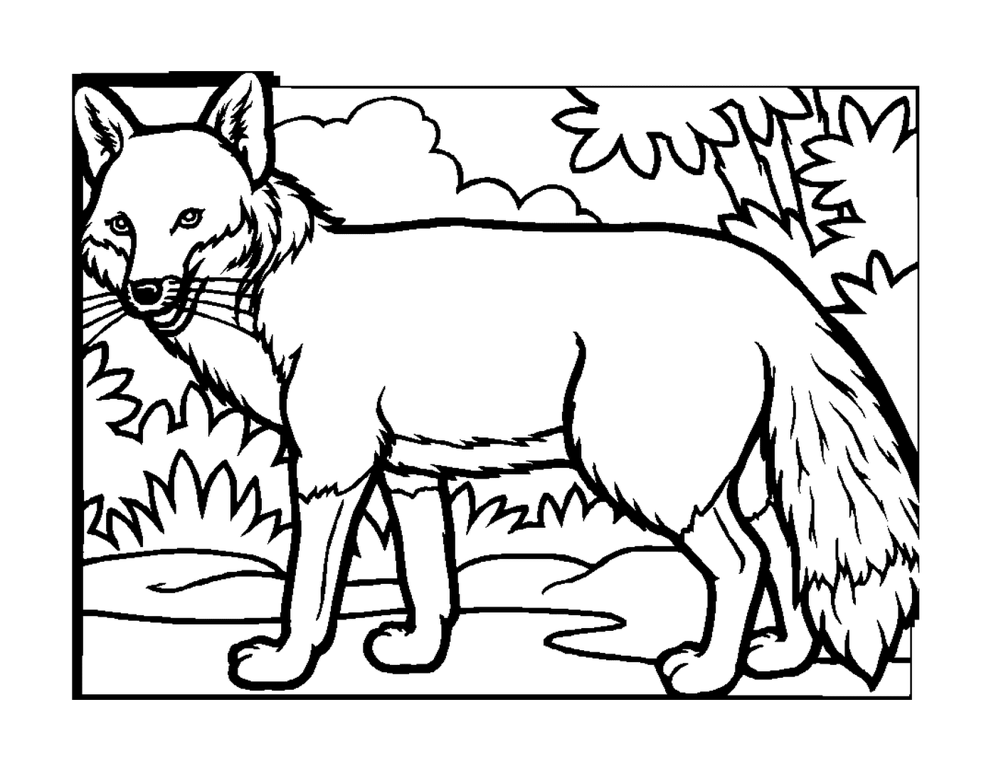  Fuchs im Wald 