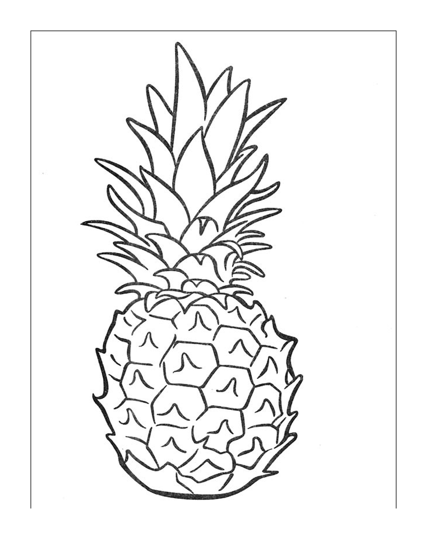  mature and juicy pineapple 