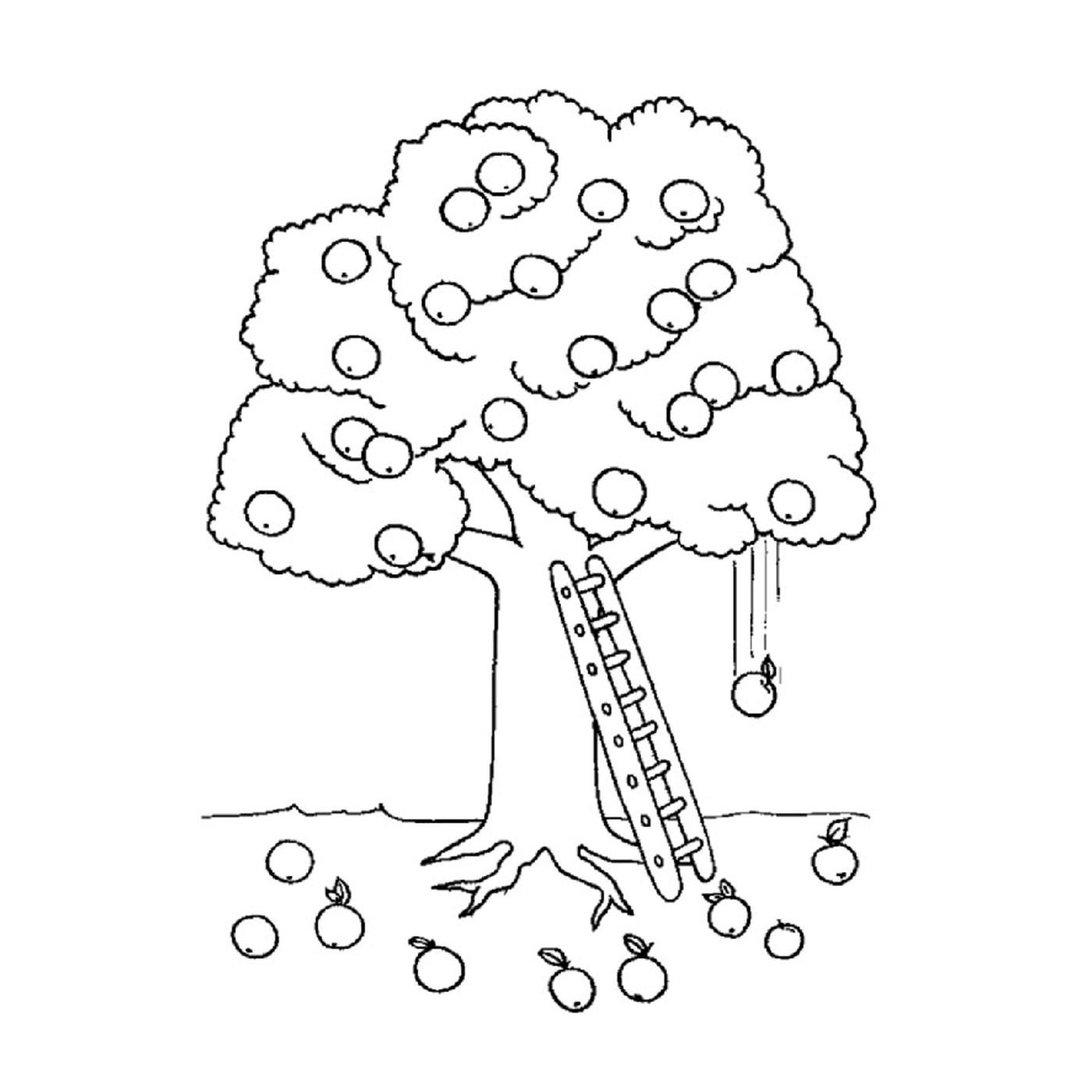  Apfelbaum mit Leiter 