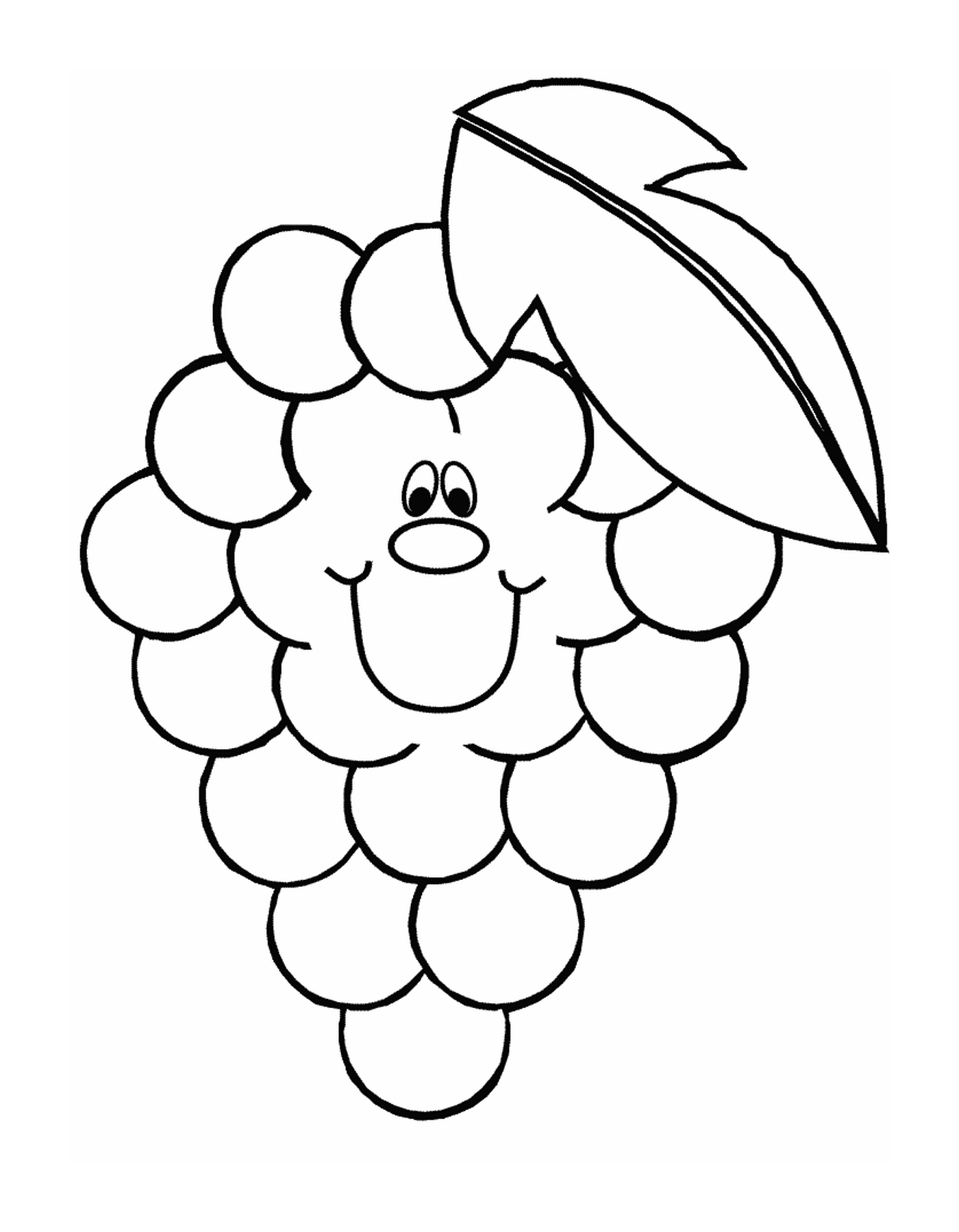  grappolo di uve succulente 