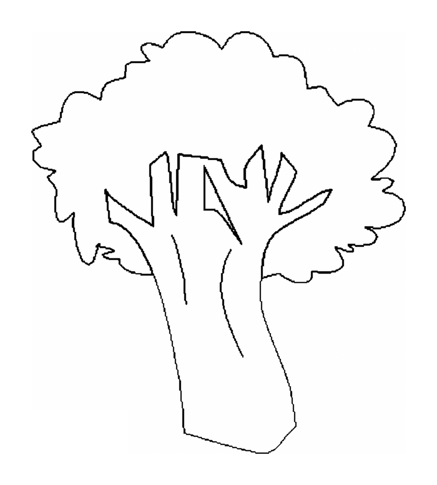  tree 