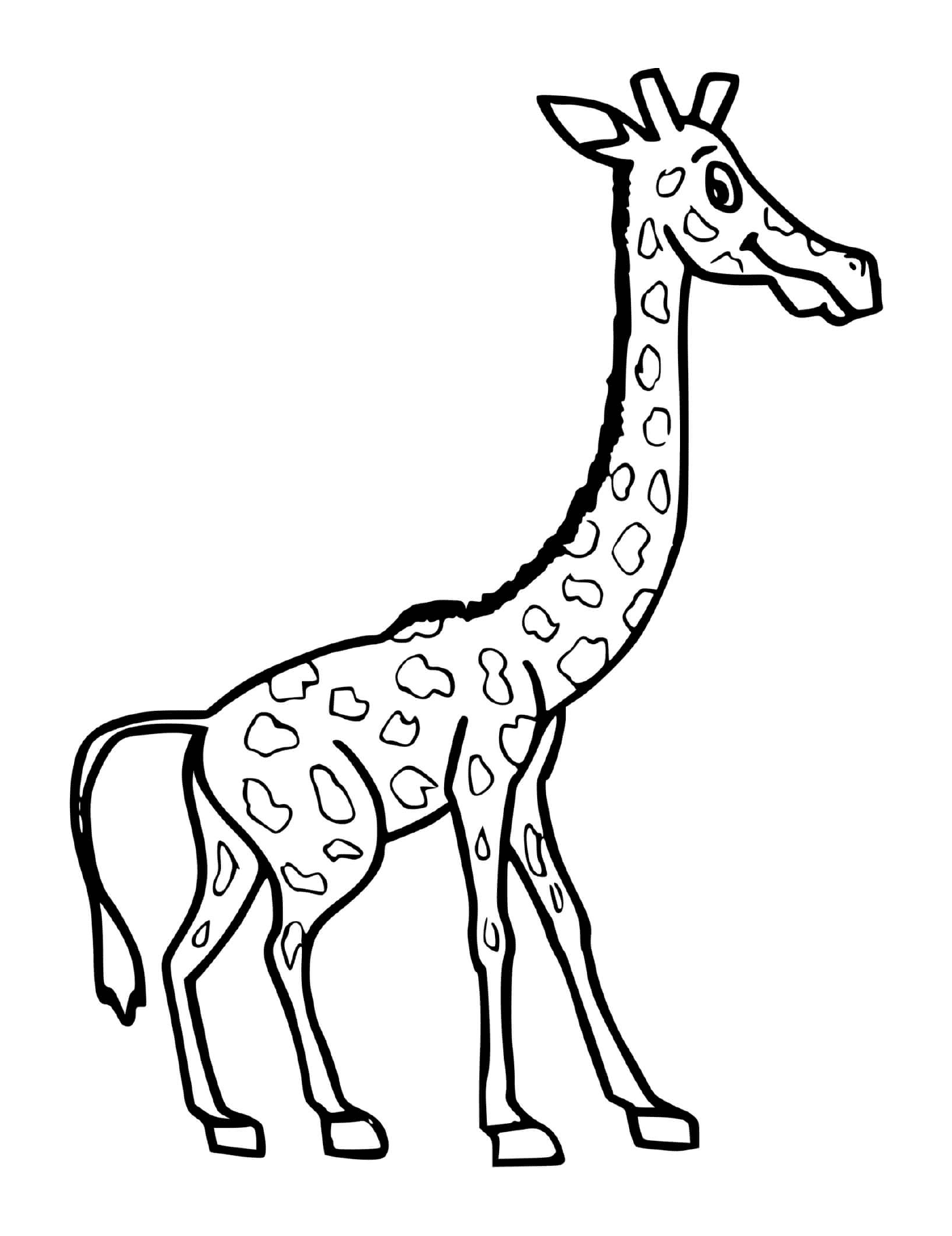  Una grande giraffa 