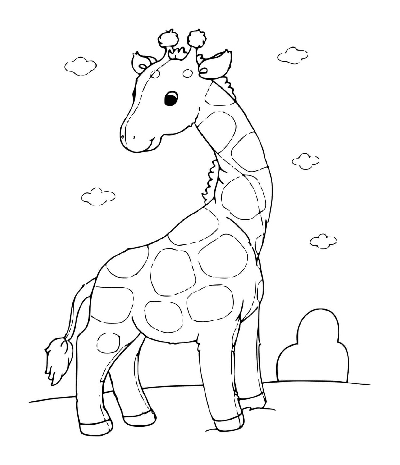  A lovely giraffe 