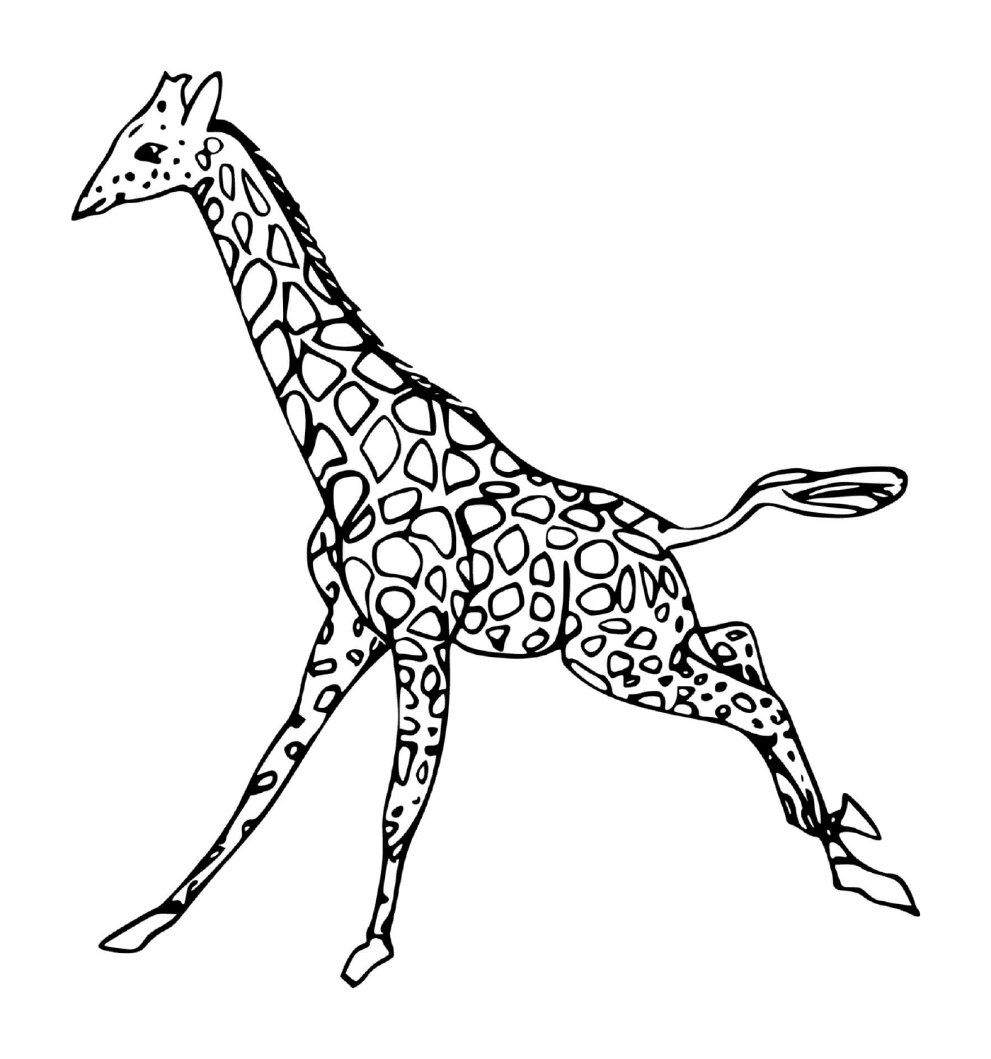  Гираф бежит 