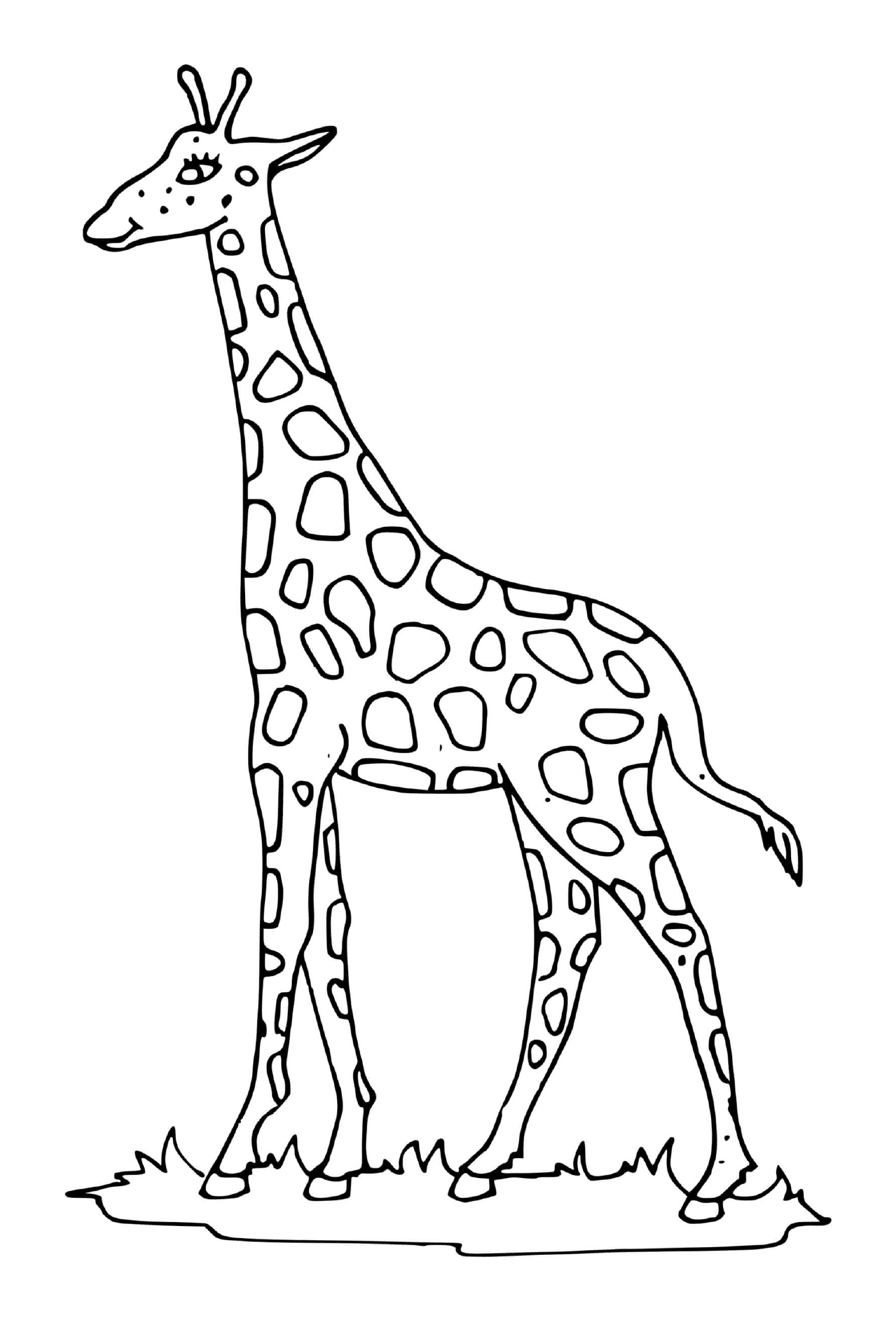  Girafe mit einem langen Hals 