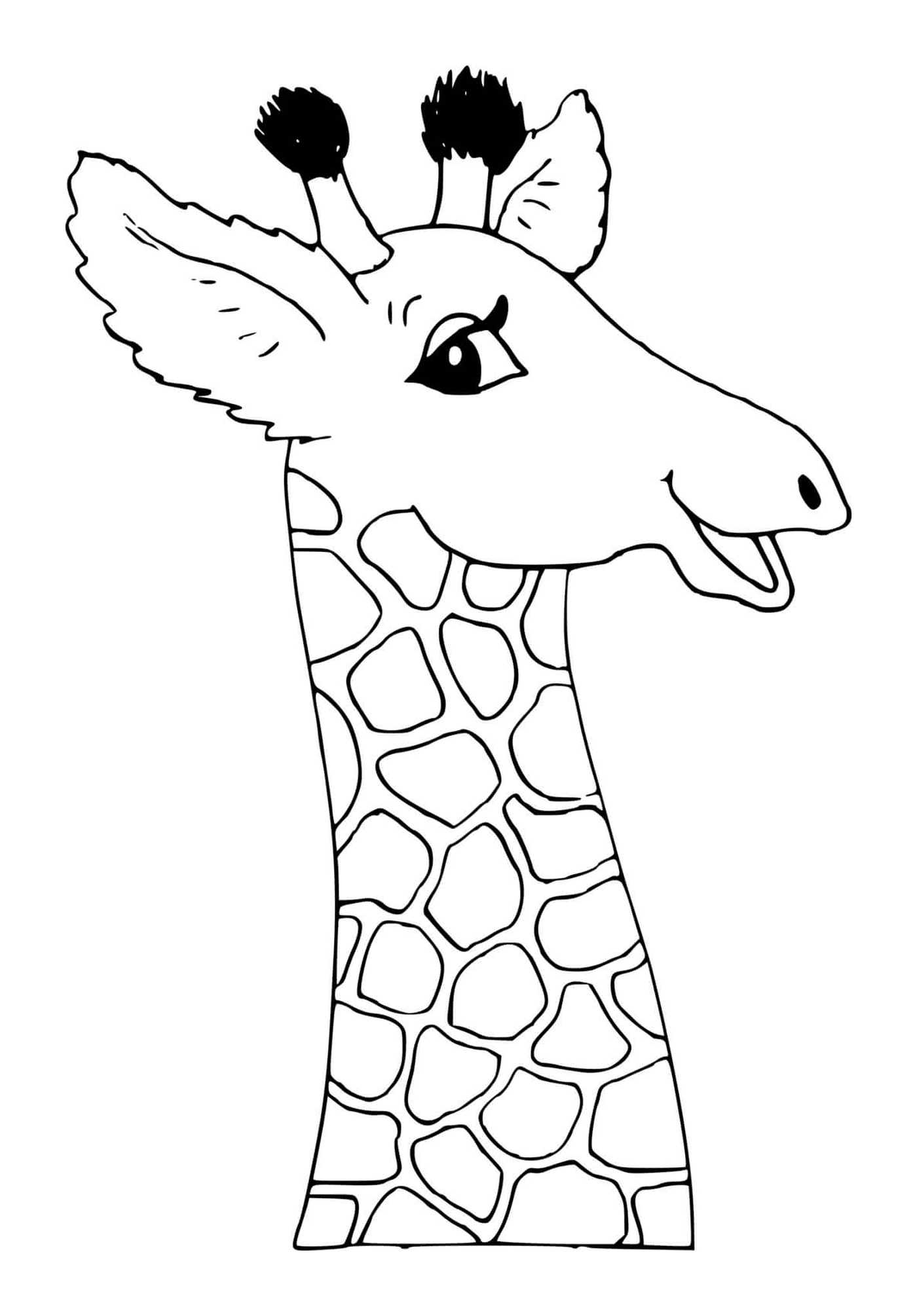  Hals und Kopf einer Giraffe 