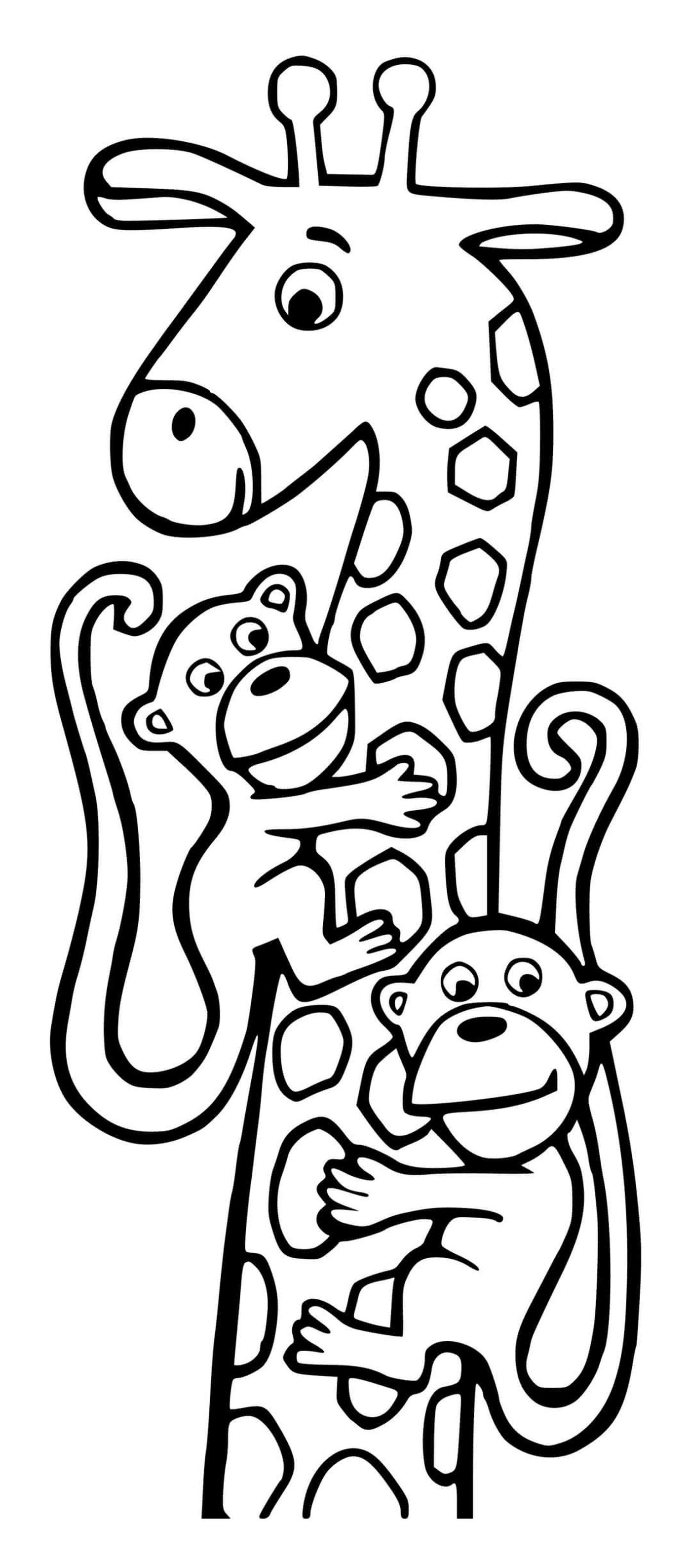 Girafe und zwei Affen 