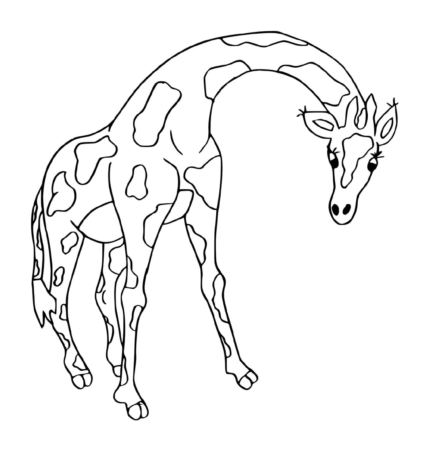  Girafe with rounded neck 