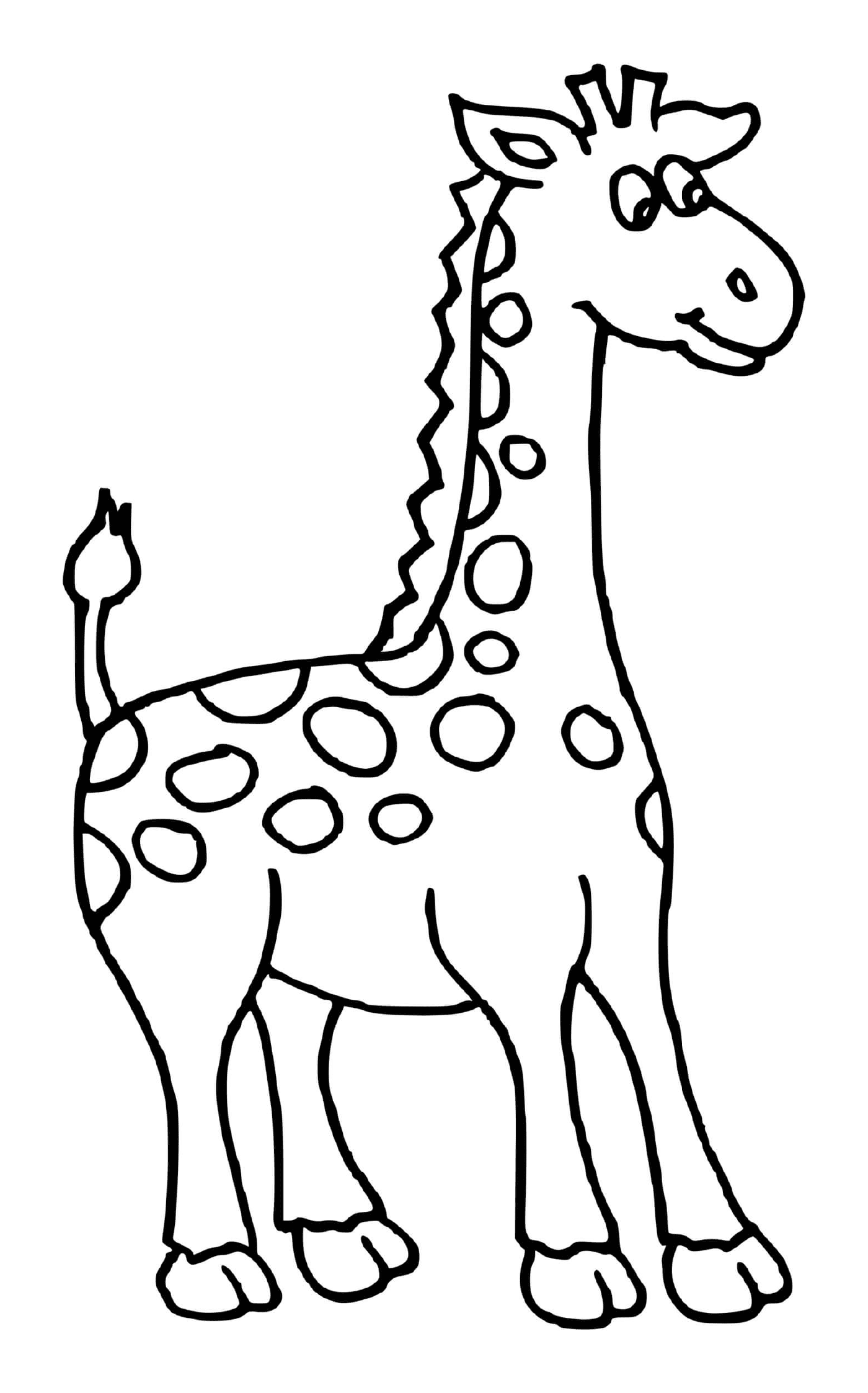  Schöne Giraffe 