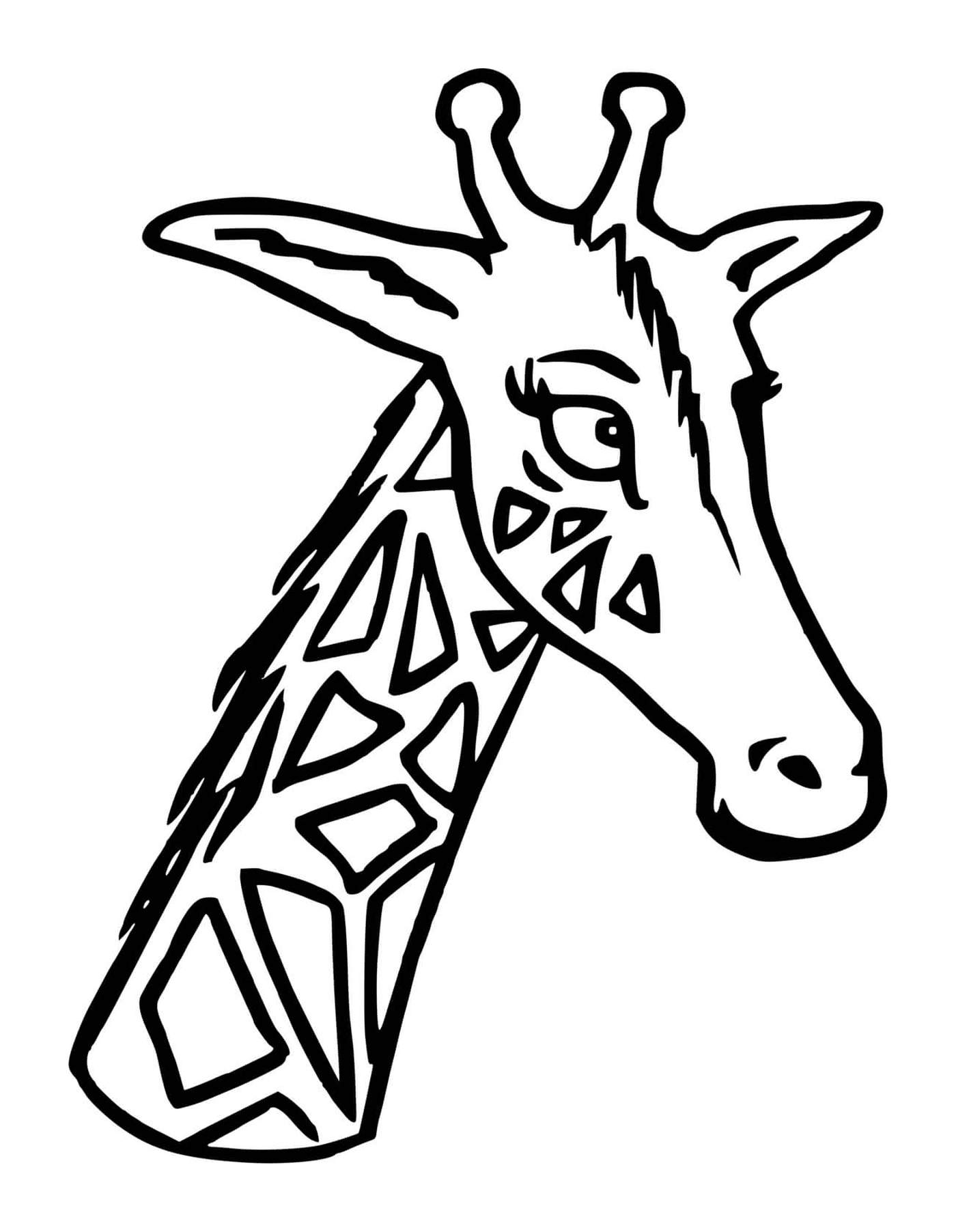  Una jirafa con la cabeza y el cuello largos 
