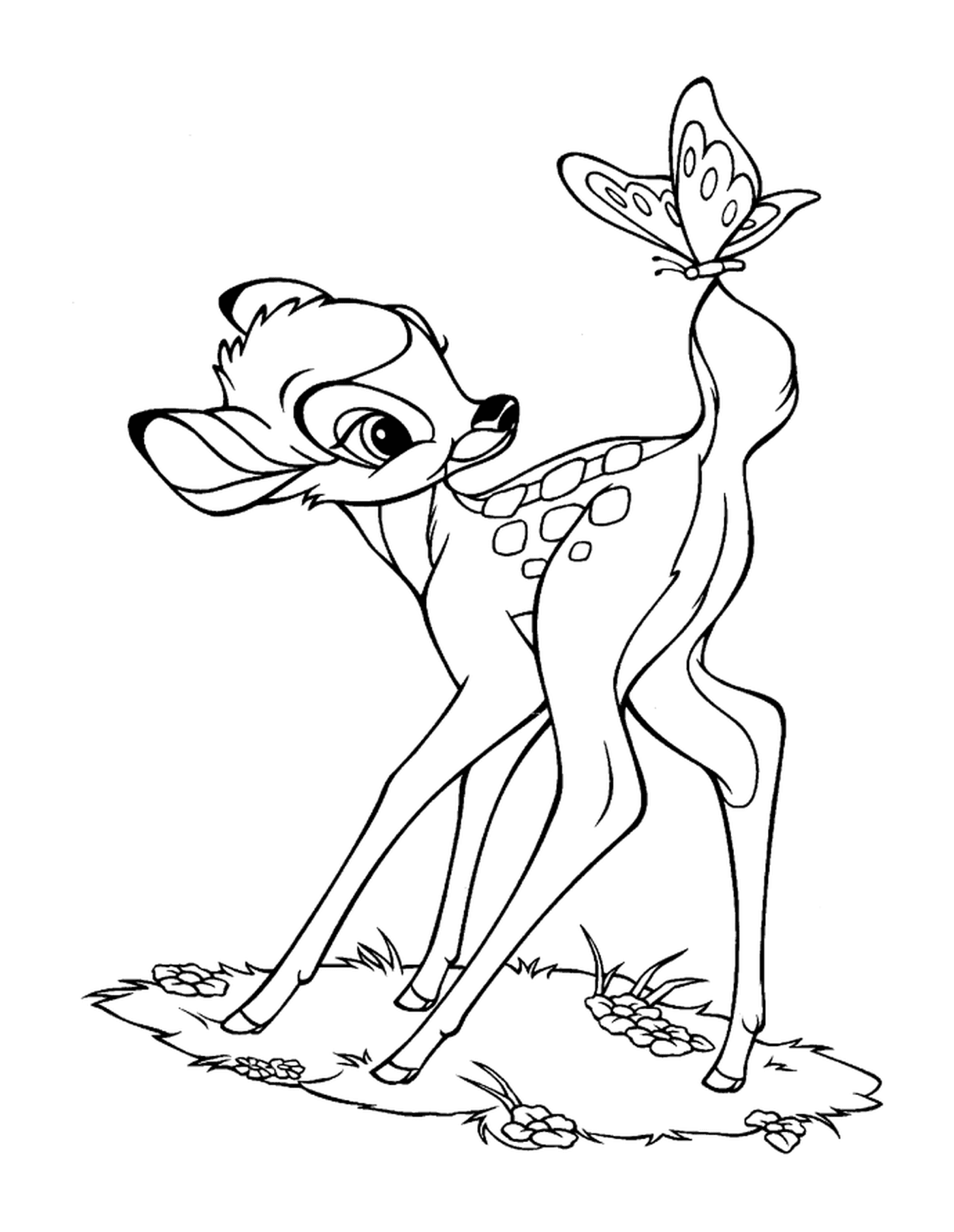 A deer and a butterfly 
