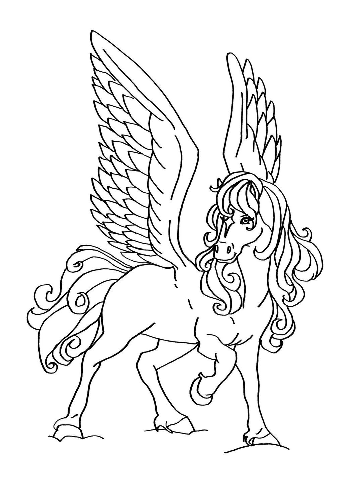  A horse with wings 