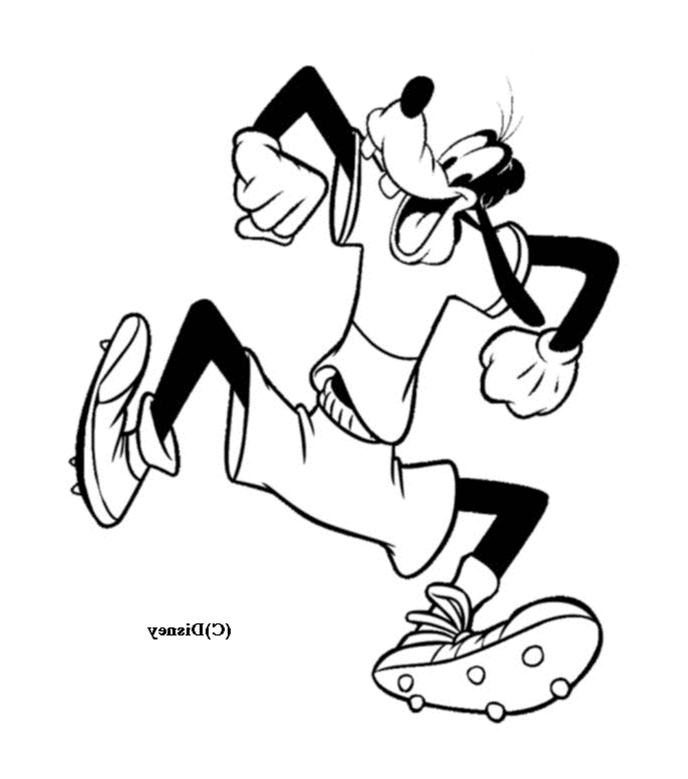  Dingo corre usando pantalones cortos 