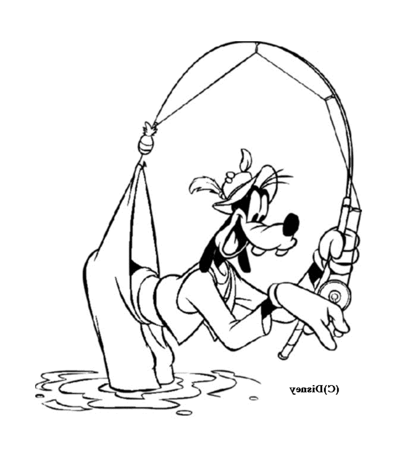  Dingo pesca con una canna da pesca 