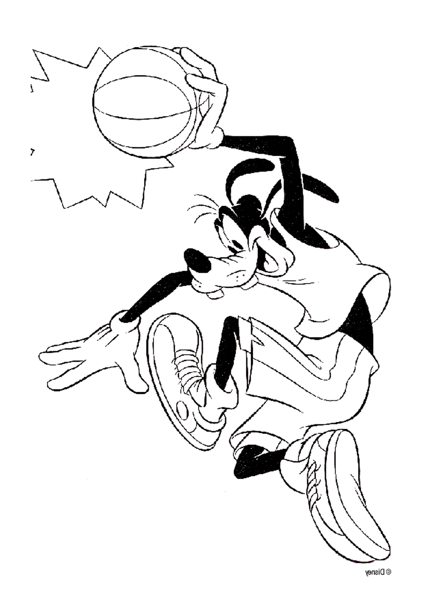  Dingo spielt Basketball mit einem Ball 
