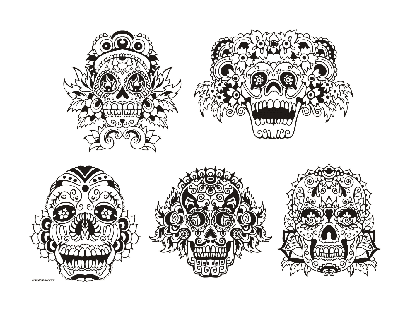  set of six black and white skull drawings 