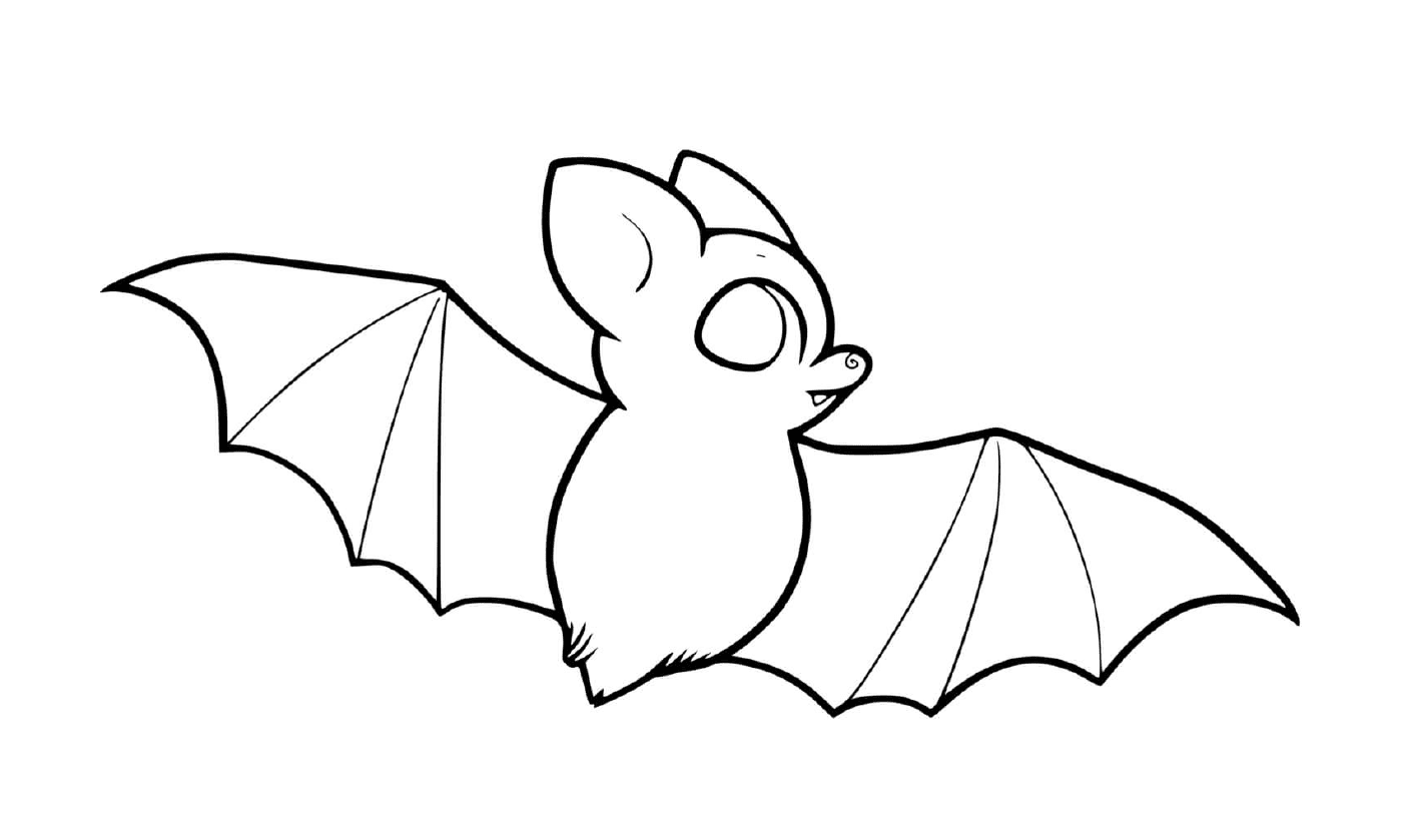  bat with large wings in flight 