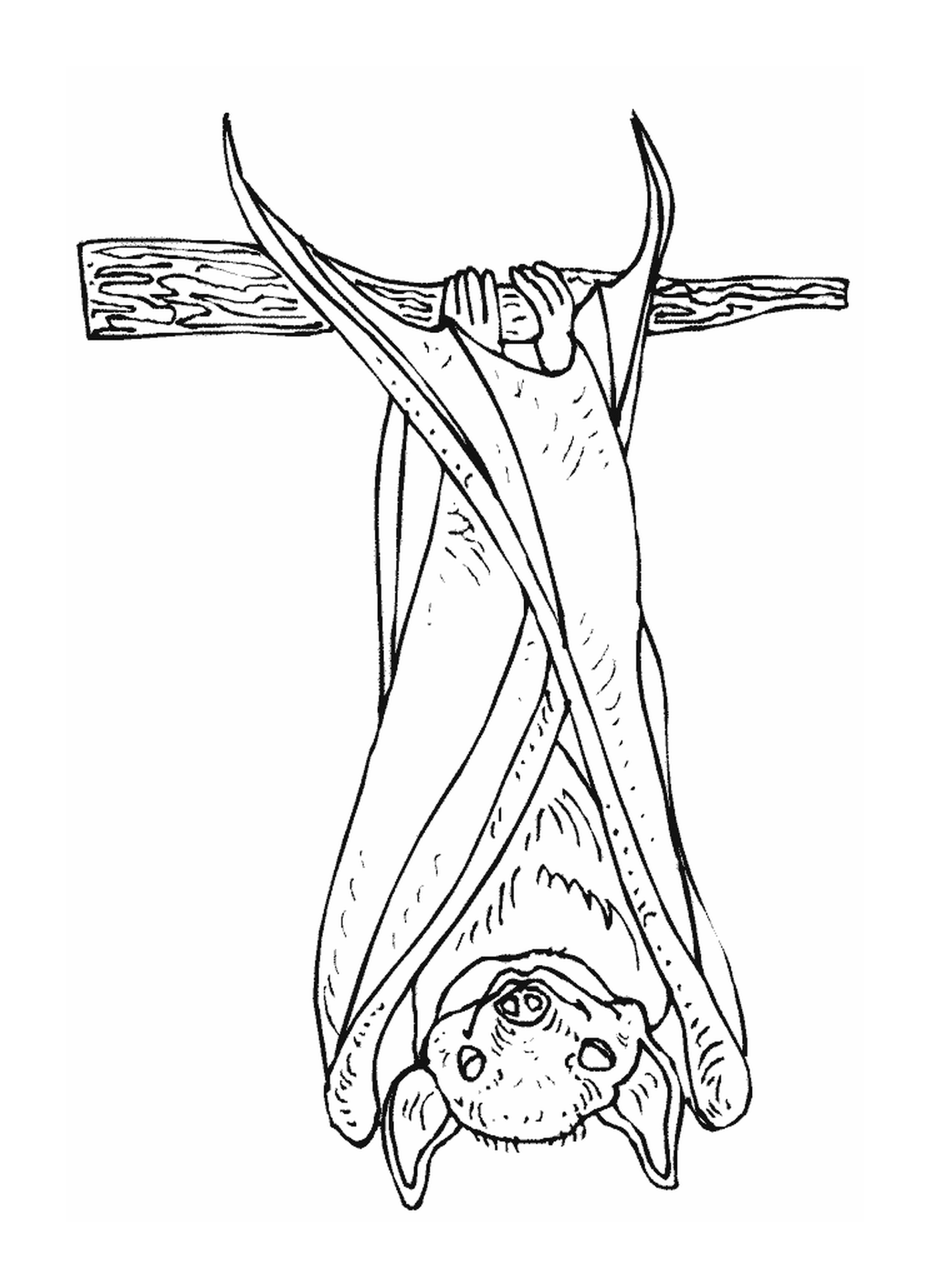  persona appesa a testa in giù su una croce 