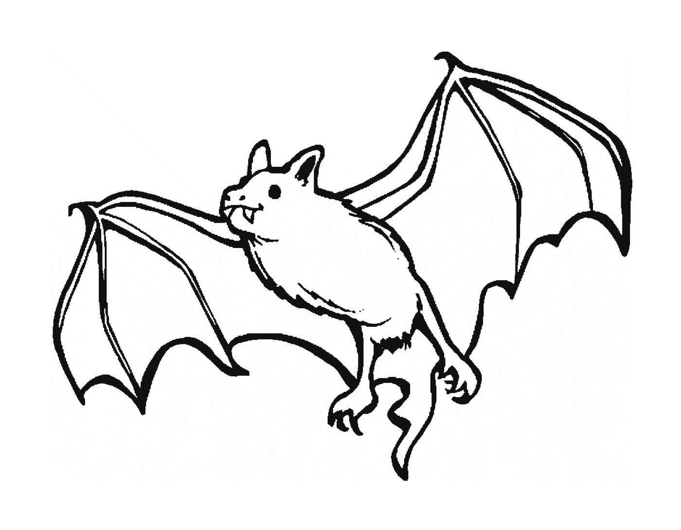  Pipistrello vampiro 