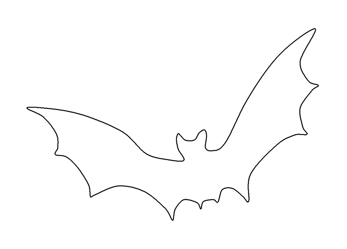  contour of a flying bat 