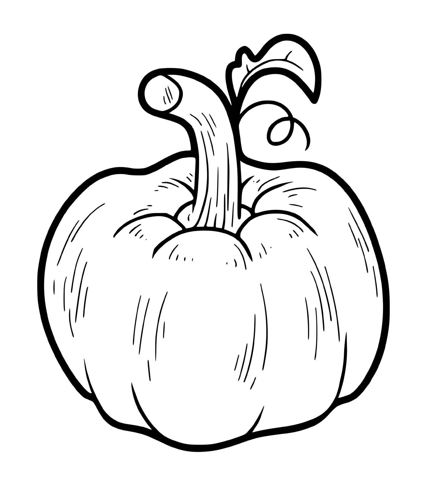  A real annual pumpkin 