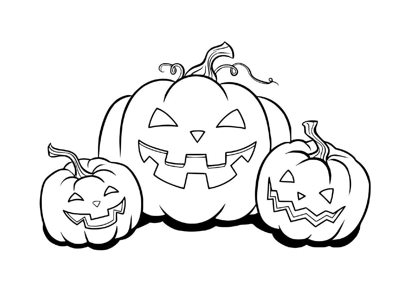  Three pumpkins from the curcubitaceae family 