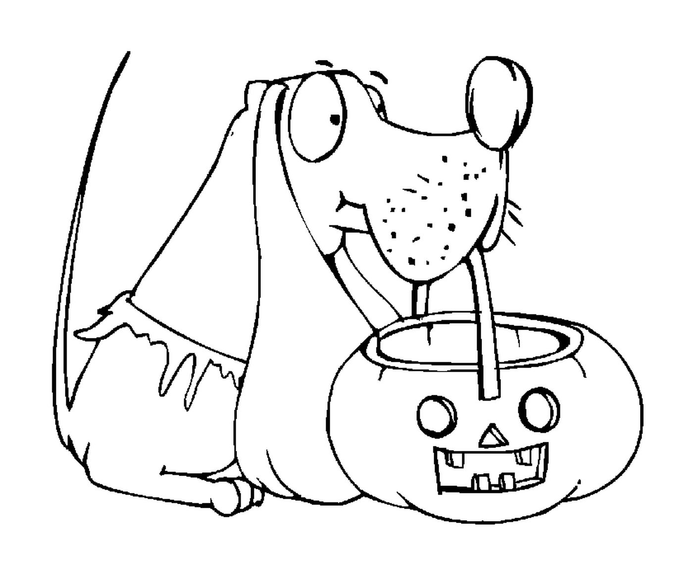  Hund mit einem Halloween Kürbis 