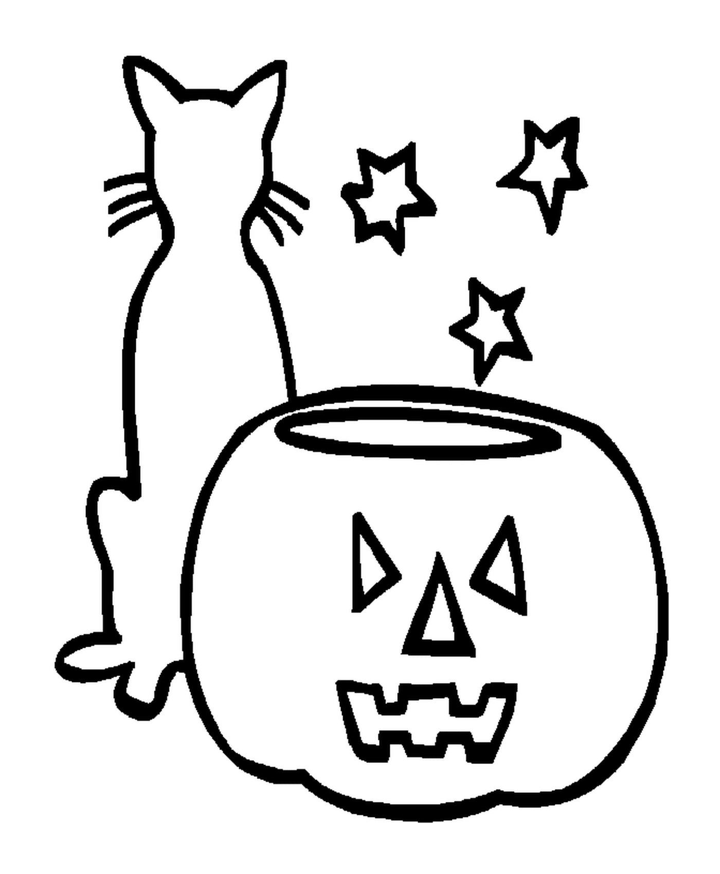  Cat, pumpkin and three stars 