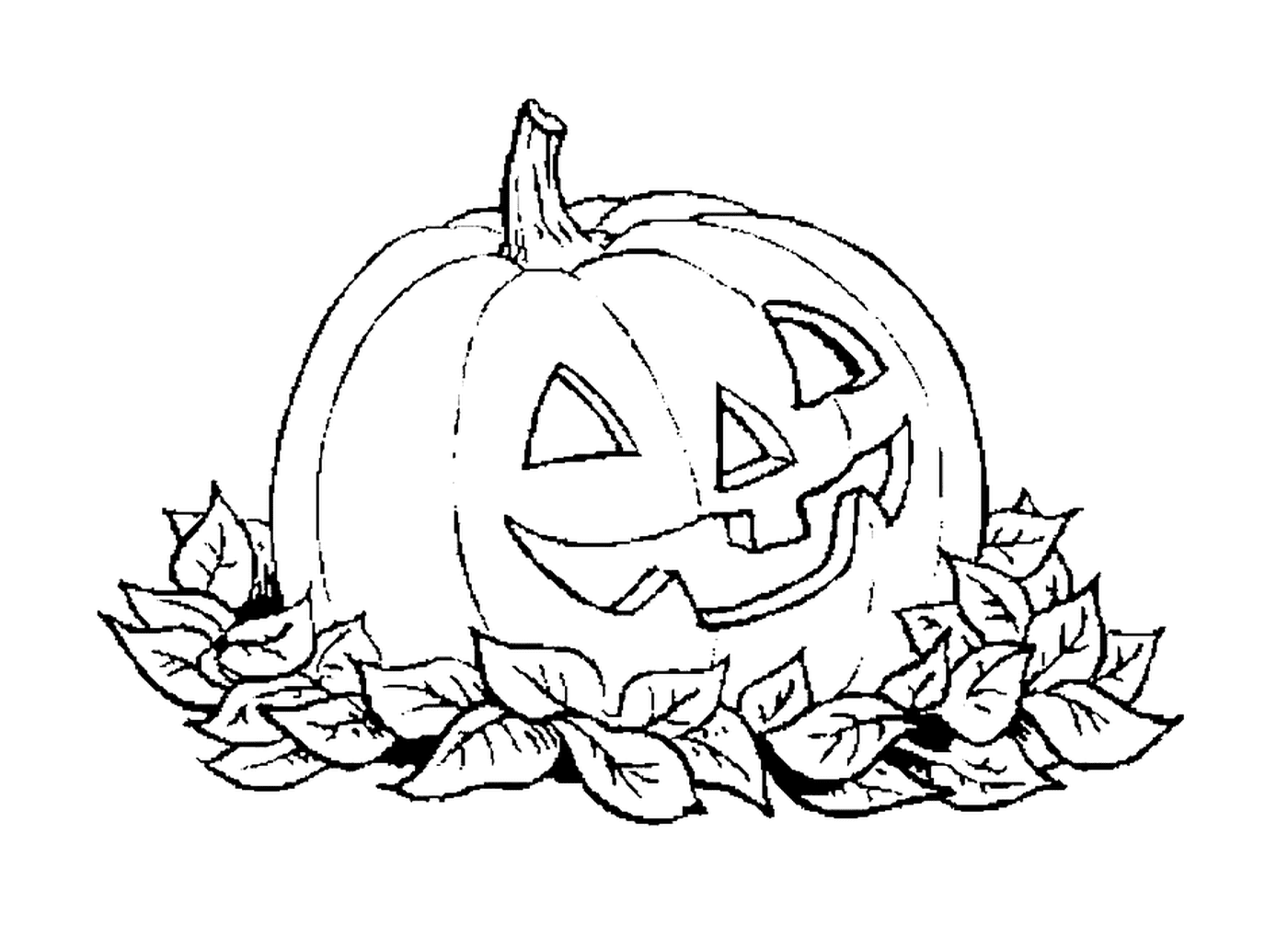  Zucca di Halloween con foglie morte 