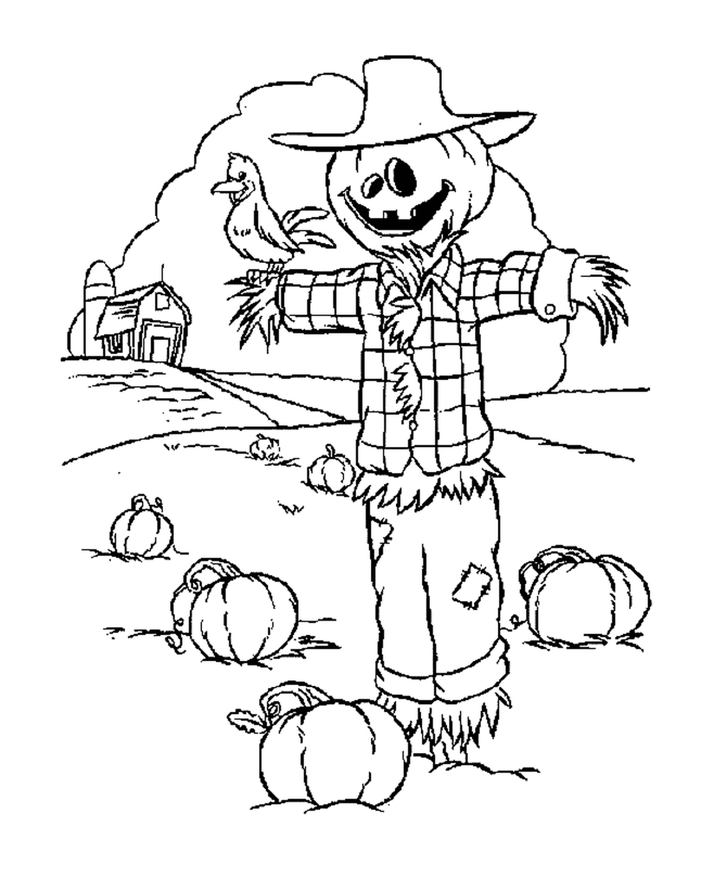  Scarecrow with pumpkin head in pumpkin field 
