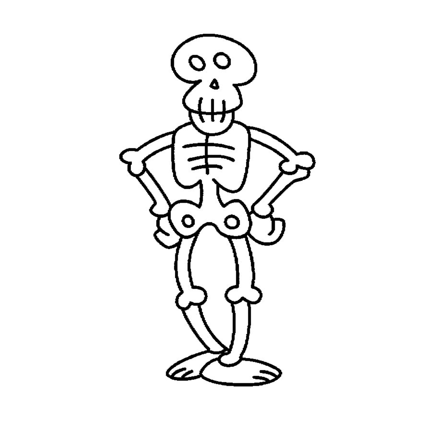  Divertido esqueleto de dibujos animados 