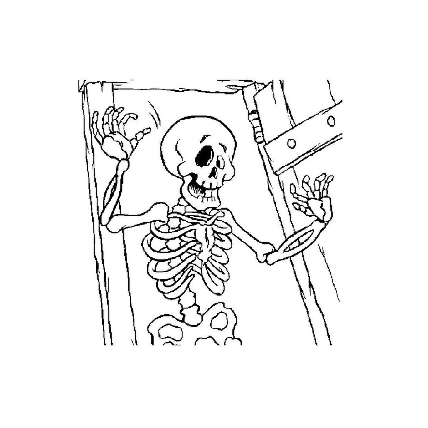  Skelett in einem dunklen Raum 