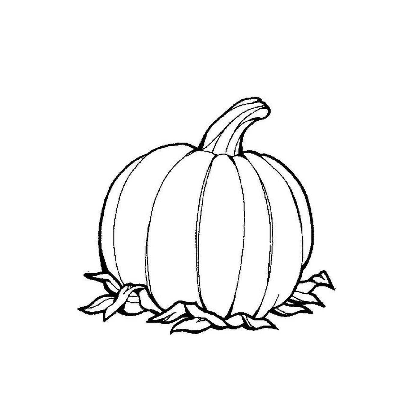  Pumpkin with leaves around 