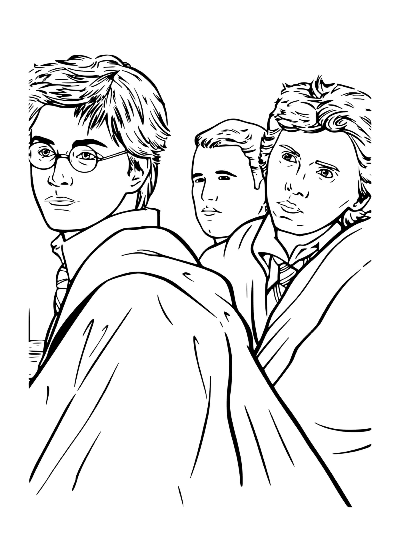  Harry Potter y amigos juntos 