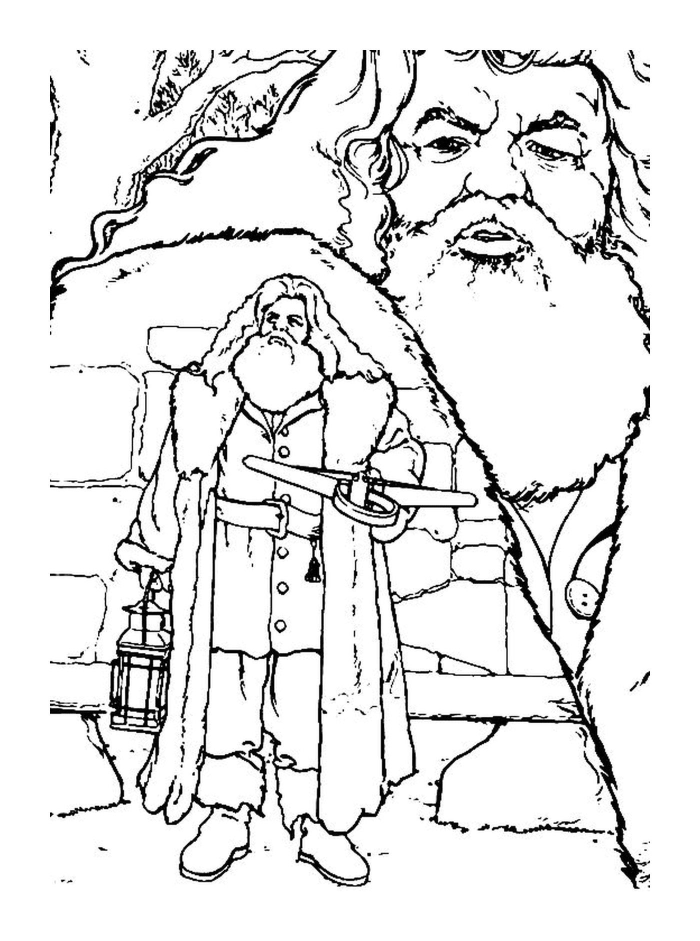  Rubeus Hagrid, großer Bart 