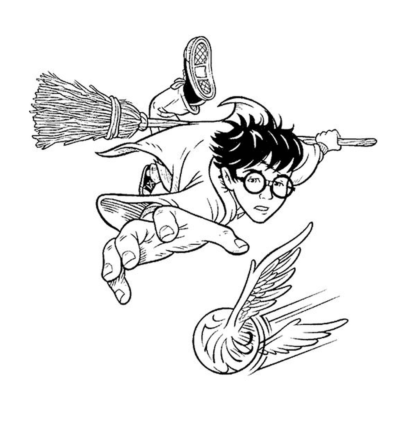  Quidditch Harry, broom flight 