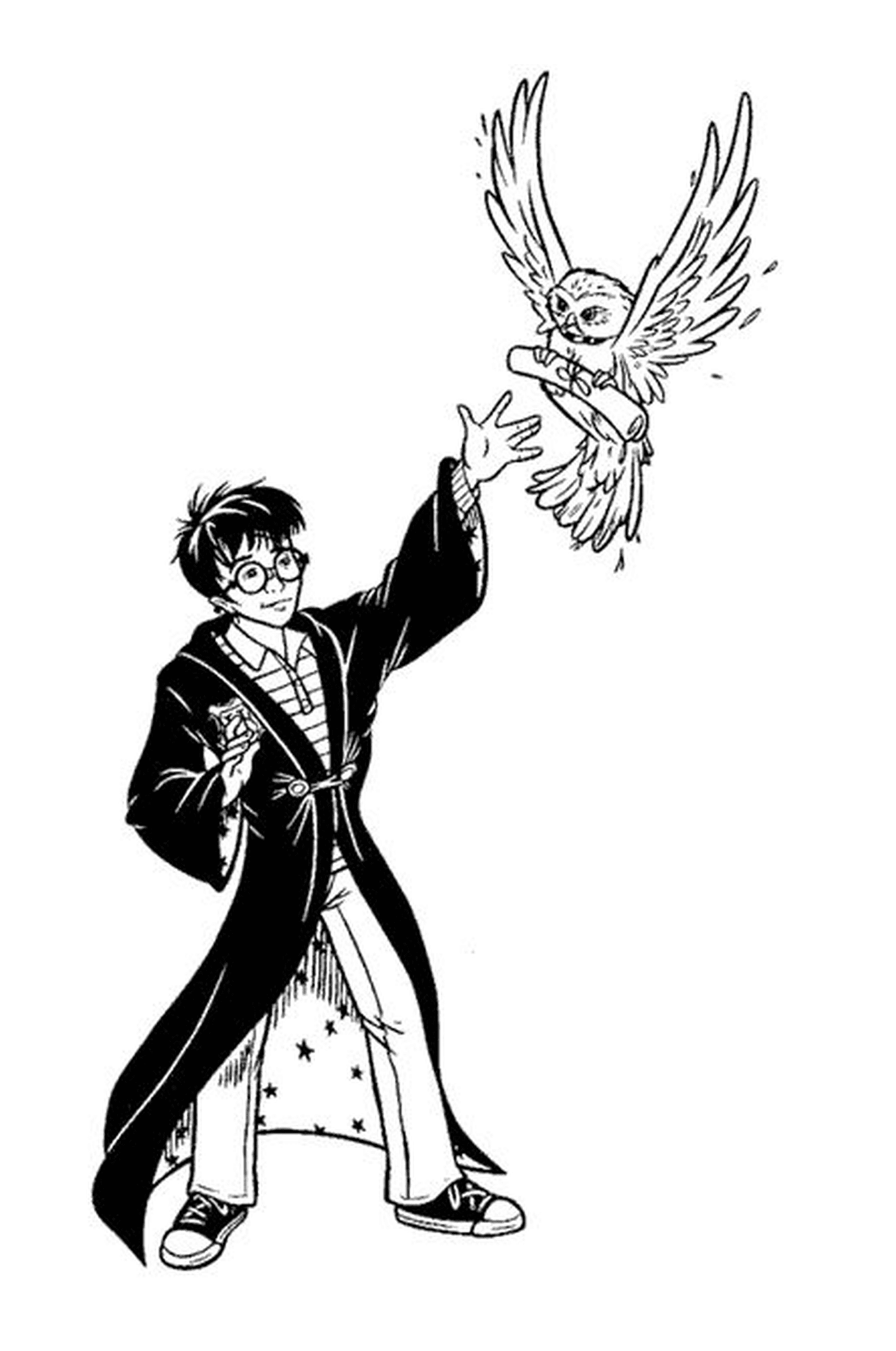  Harry Potter mit Hedwige 