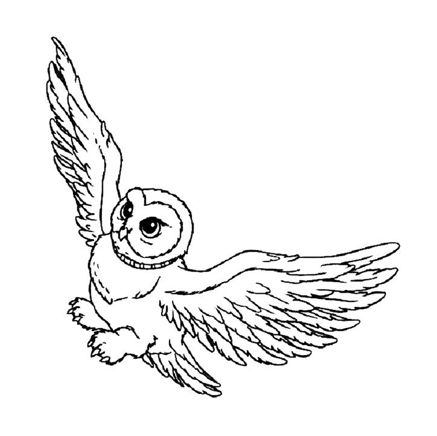  Hedwige fliegt am Himmel 