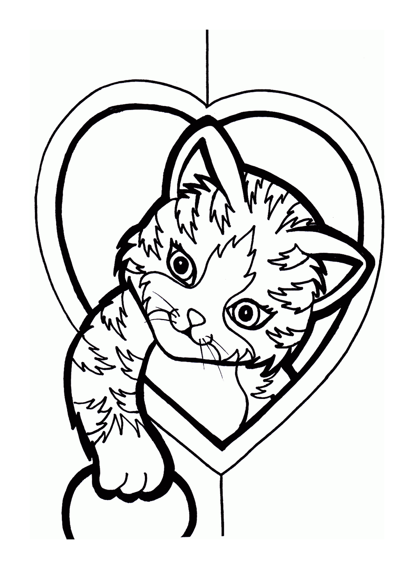  A cat in a heart 