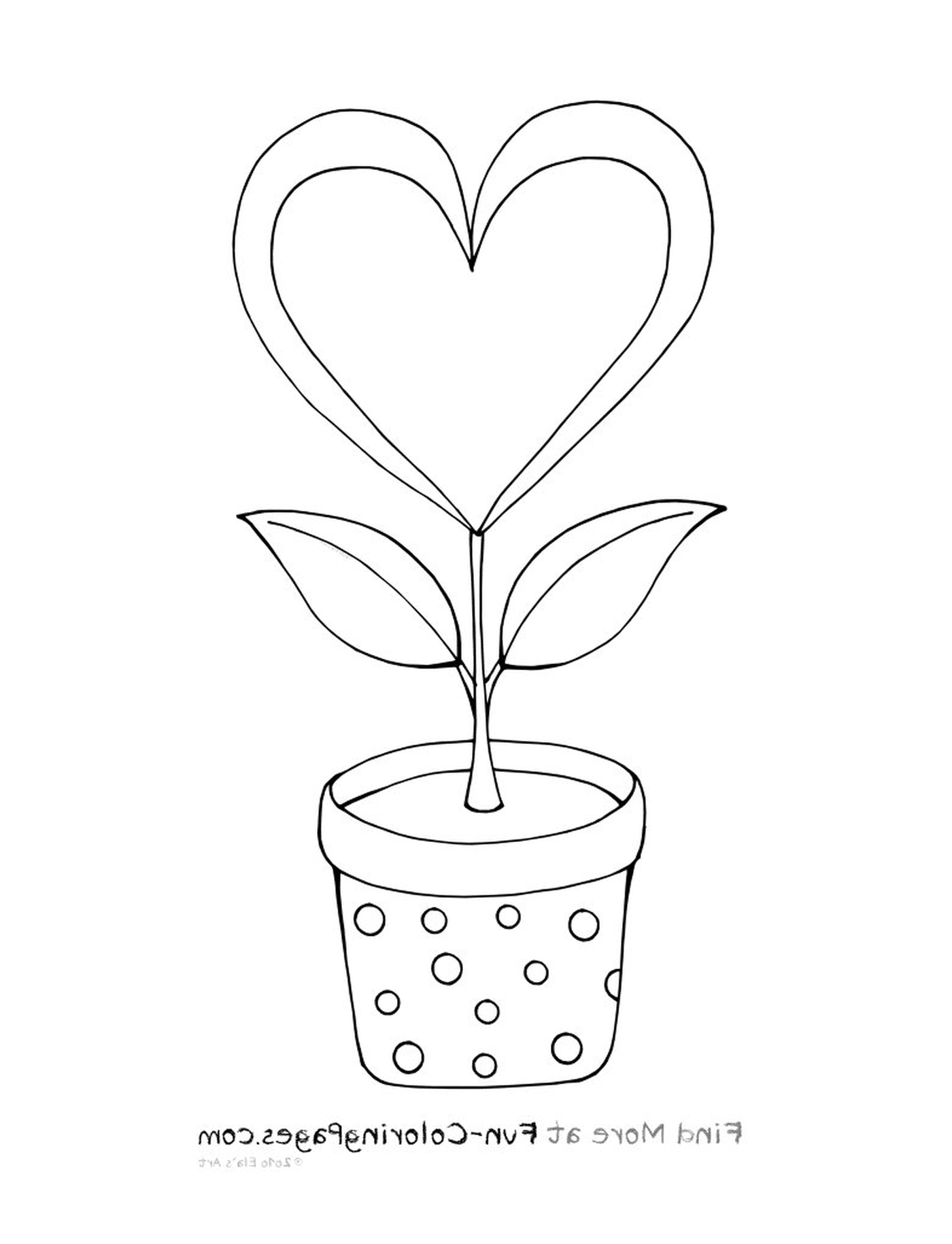  Una pianta in un vaso 
