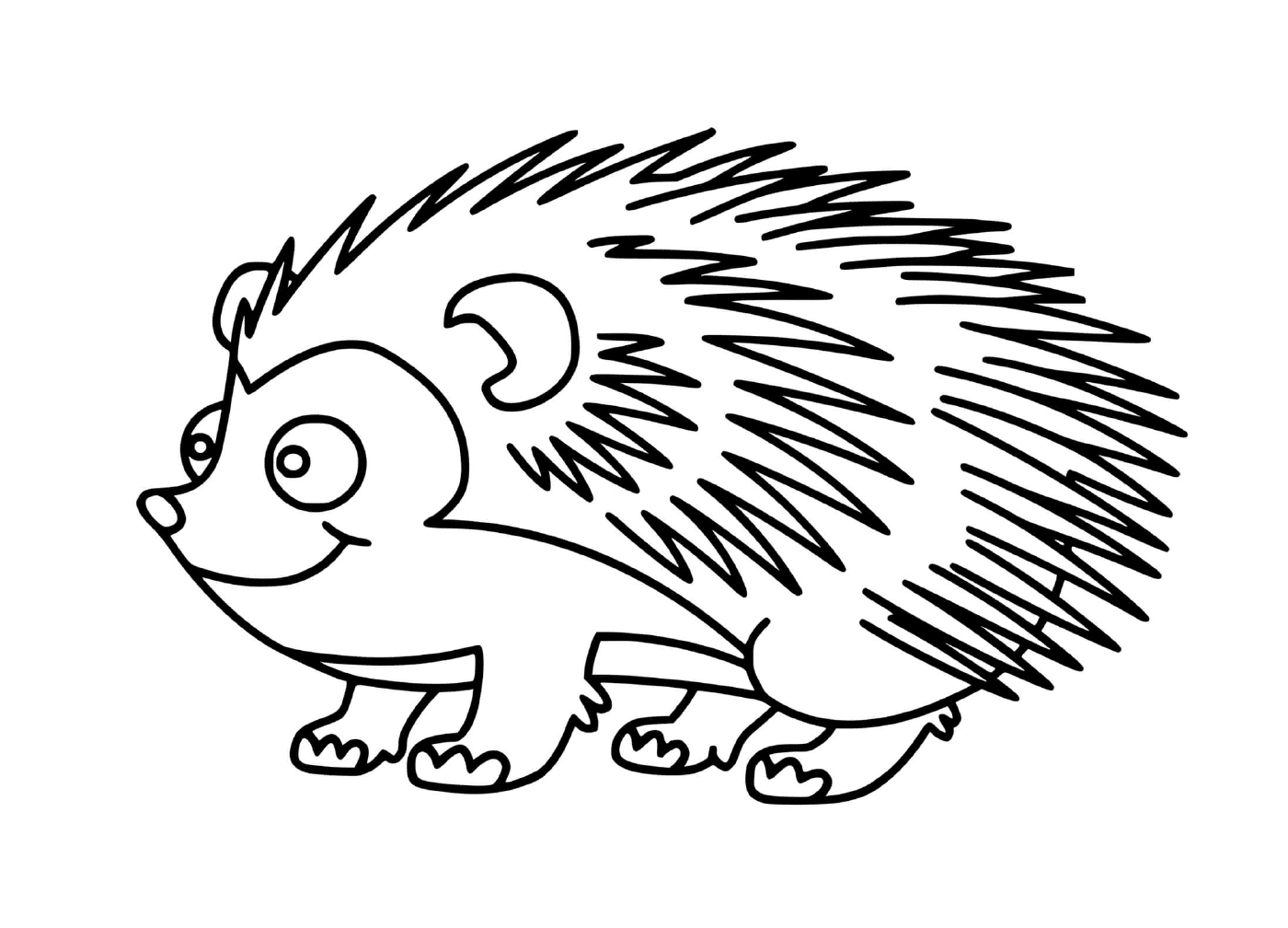  Cute hedgehog 