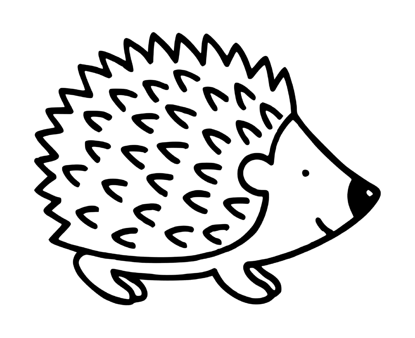  Small porcupine hedgehog 
