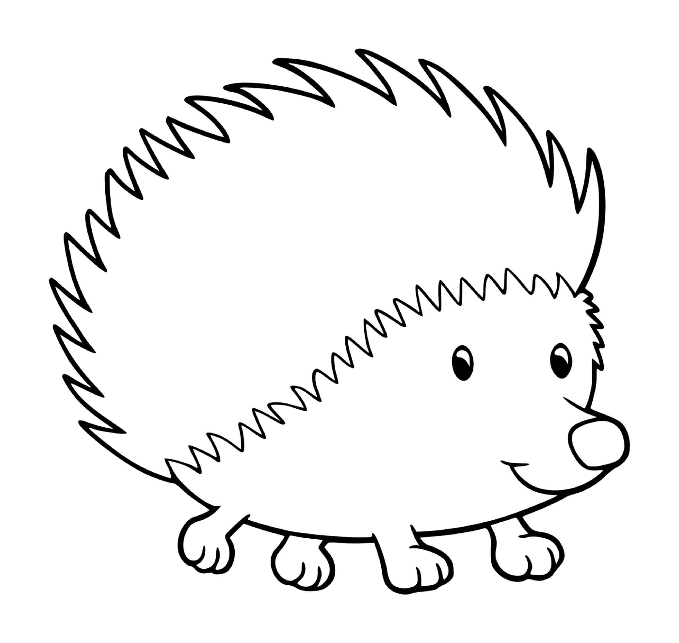  Little friendly hedgehog 