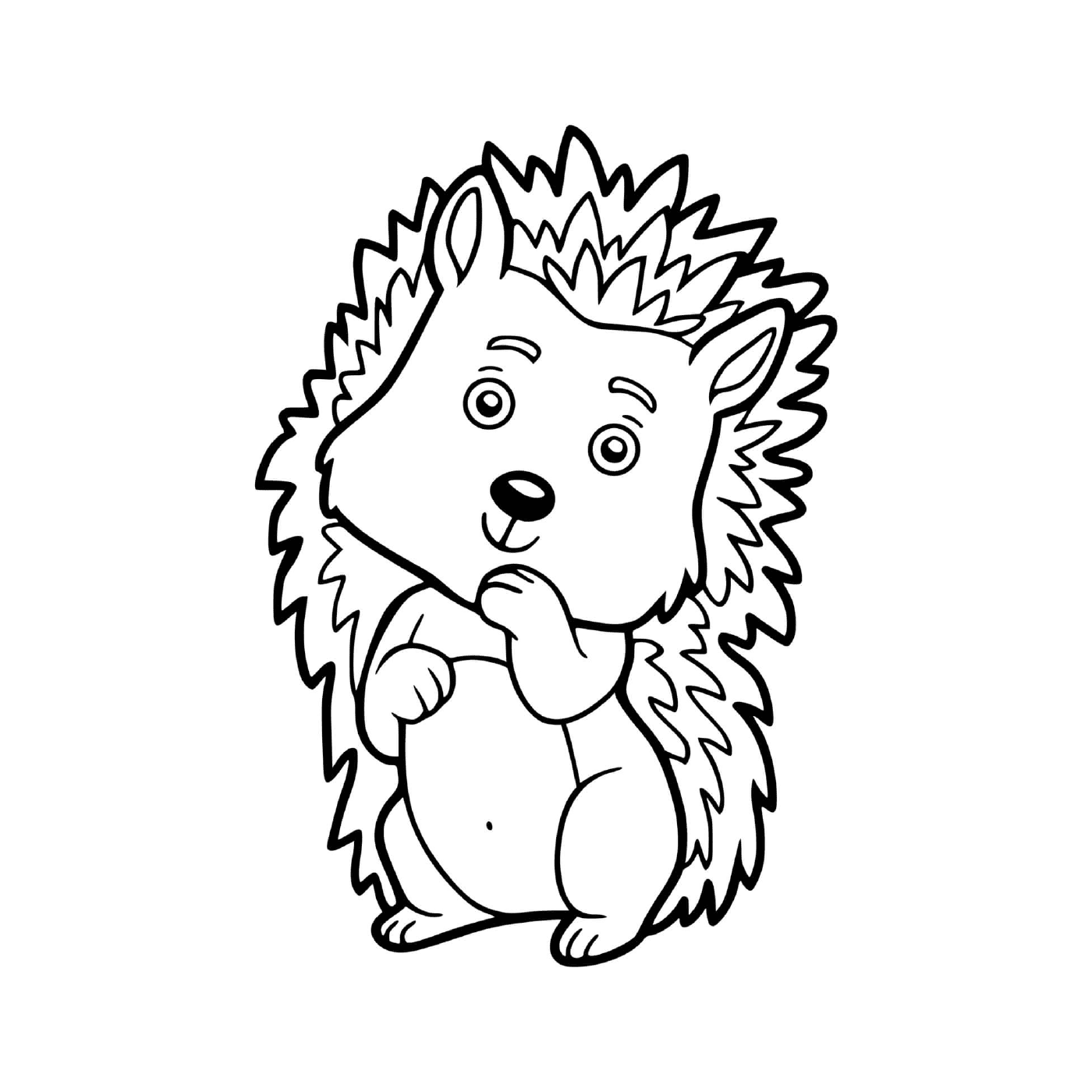  A shy and cute hedgehog 