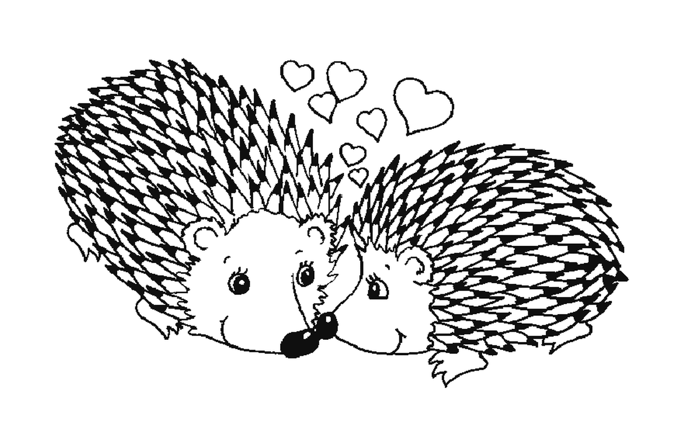  Two hedgehogs in love 
