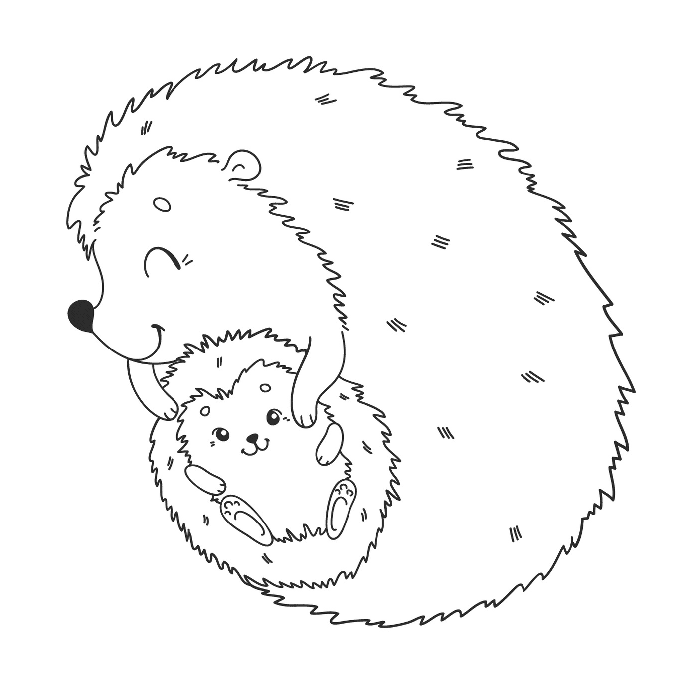  Hedgehog e il suo bambino 